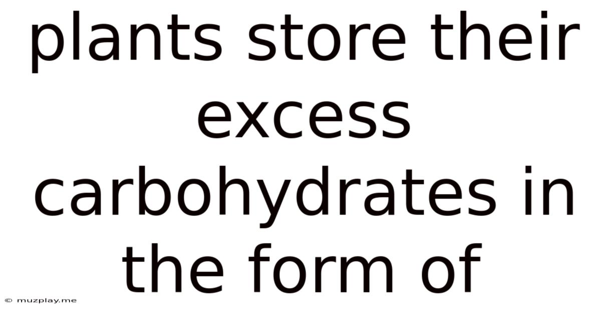 Plants Store Their Excess Carbohydrates In The Form Of