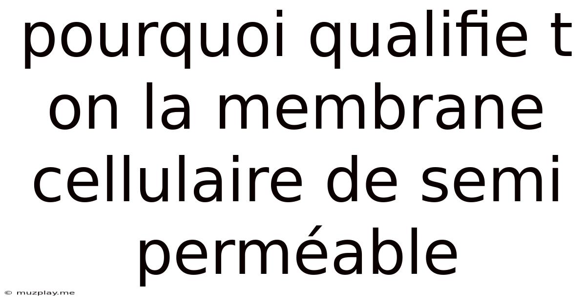 Pourquoi Qualifie T On La Membrane Cellulaire De Semi Perméable