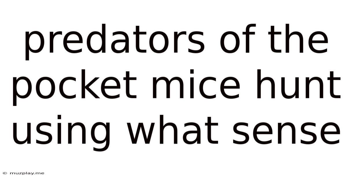 Predators Of The Pocket Mice Hunt Using What Sense
