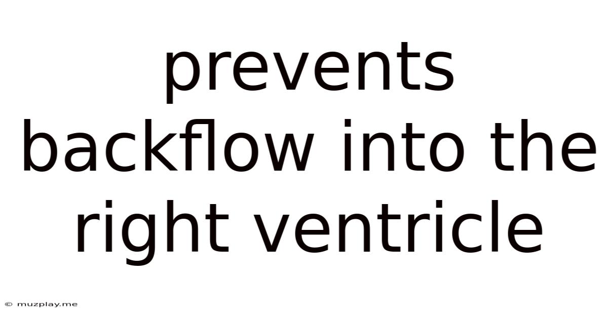 Prevents Backflow Into The Right Ventricle