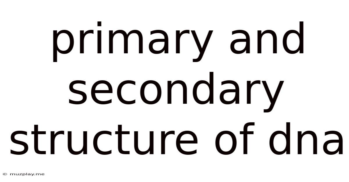 Primary And Secondary Structure Of Dna