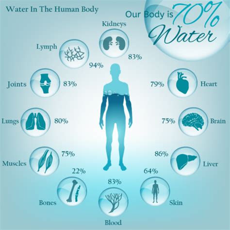 Properties Of Water That Make It Essential To Life