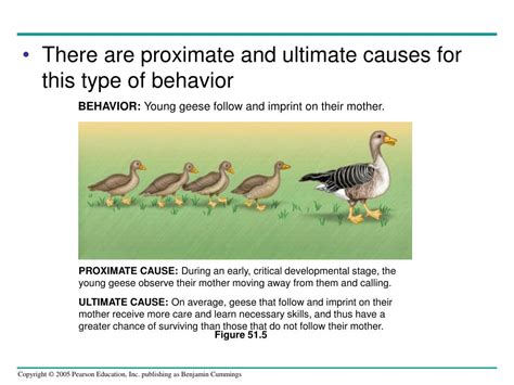 Proximate And Ultimate Causes Of Behaviour Examples