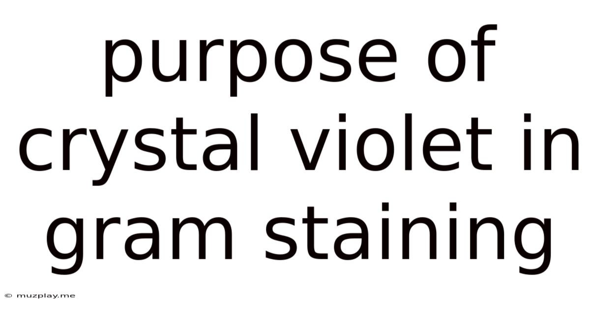 Purpose Of Crystal Violet In Gram Staining