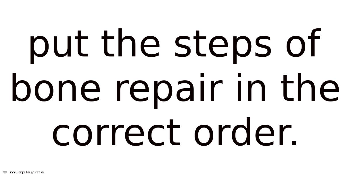 Put The Steps Of Bone Repair In The Correct Order.