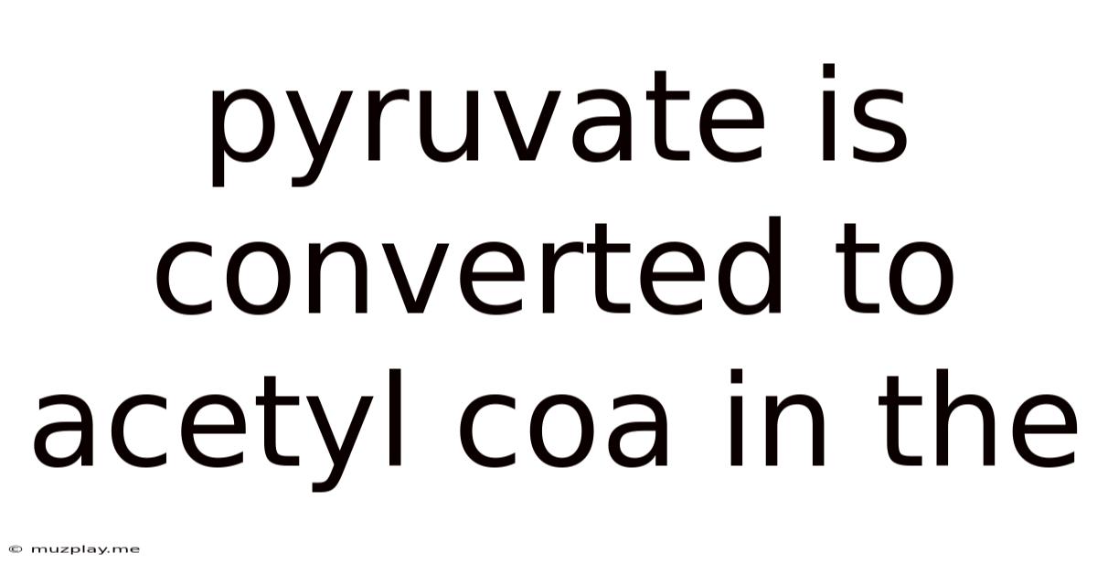 Pyruvate Is Converted To Acetyl Coa In The