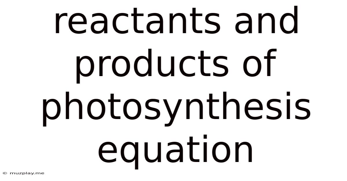 Reactants And Products Of Photosynthesis Equation