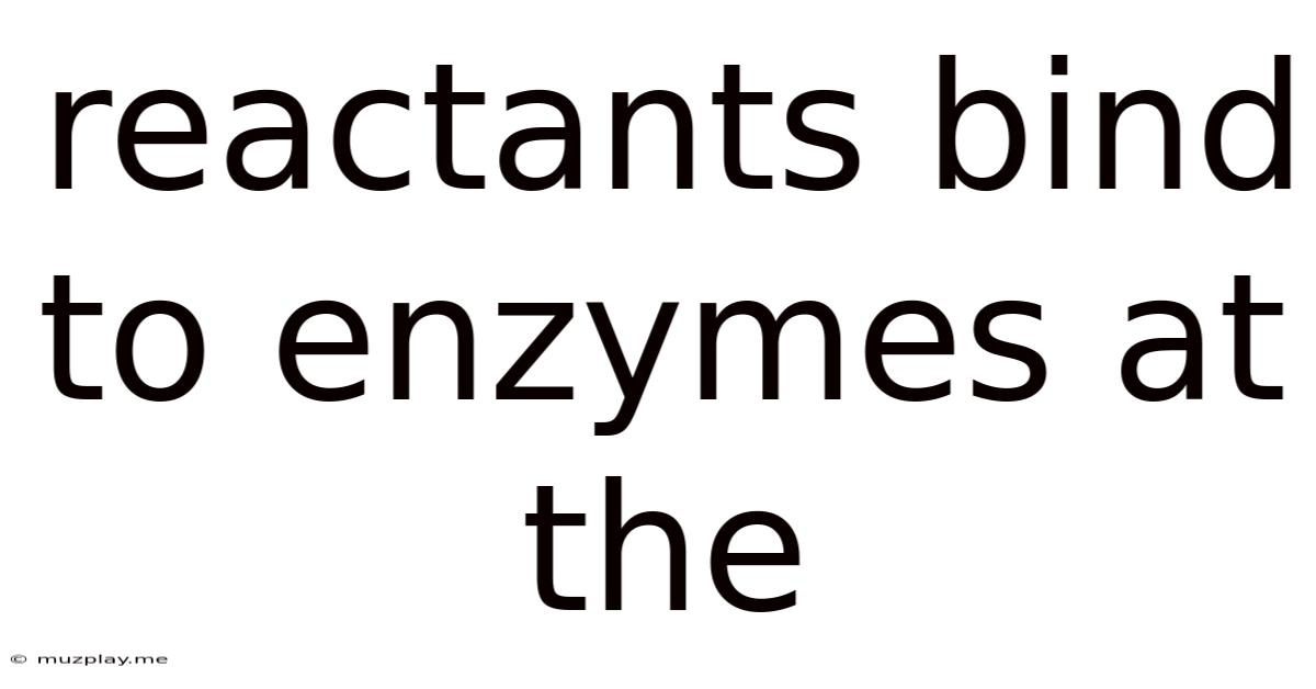 Reactants Bind To Enzymes At The