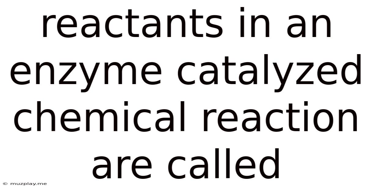 Reactants In An Enzyme Catalyzed Chemical Reaction Are Called