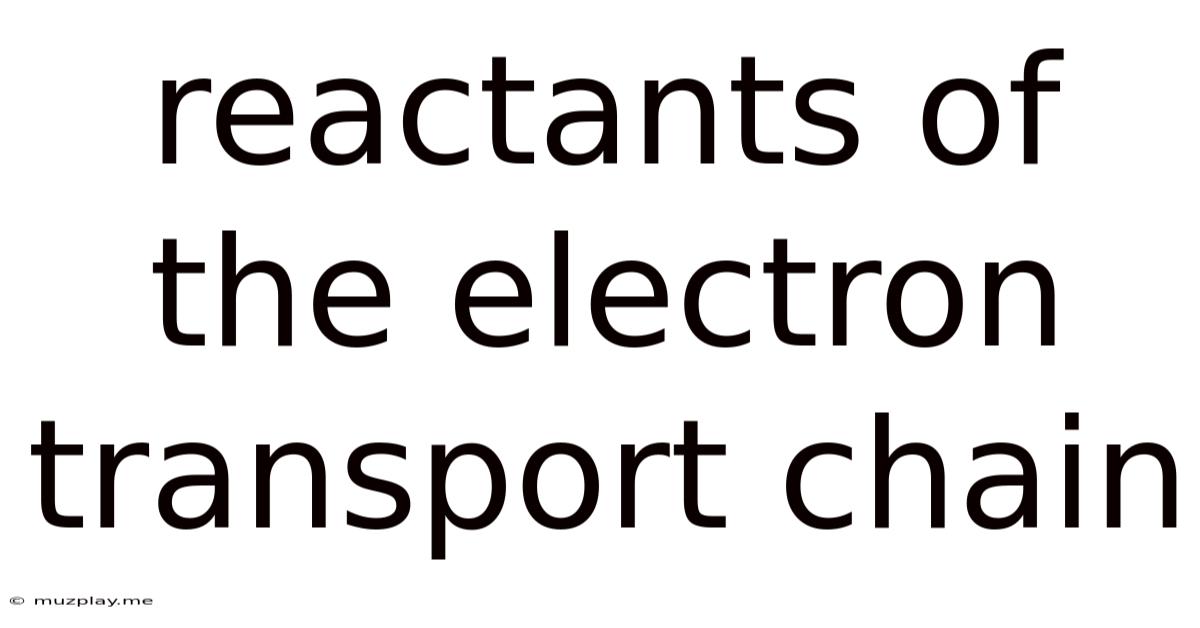 Reactants Of The Electron Transport Chain