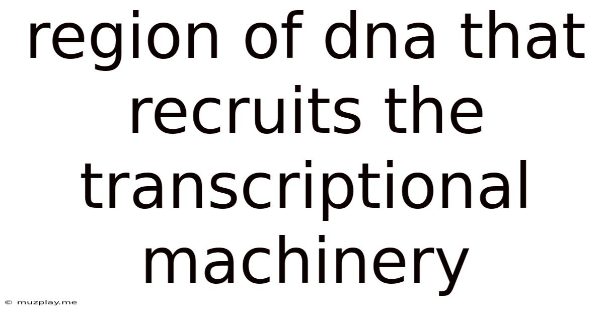 Region Of Dna That Recruits The Transcriptional Machinery