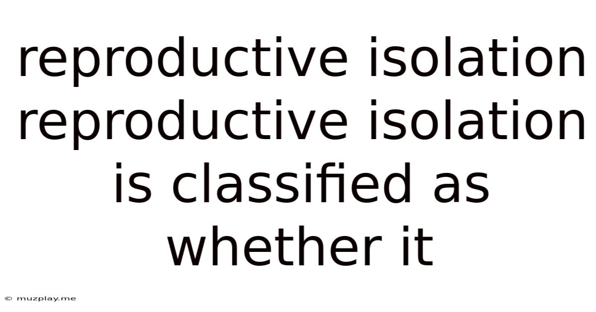 Reproductive Isolation Reproductive Isolation Is Classified As Whether It