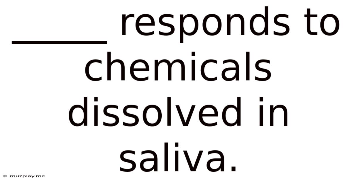 _____ Responds To Chemicals Dissolved In Saliva.