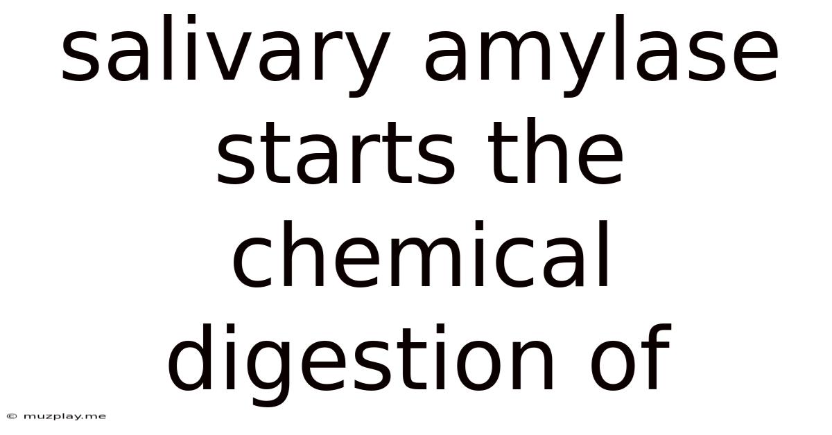 Salivary Amylase Starts The Chemical Digestion Of