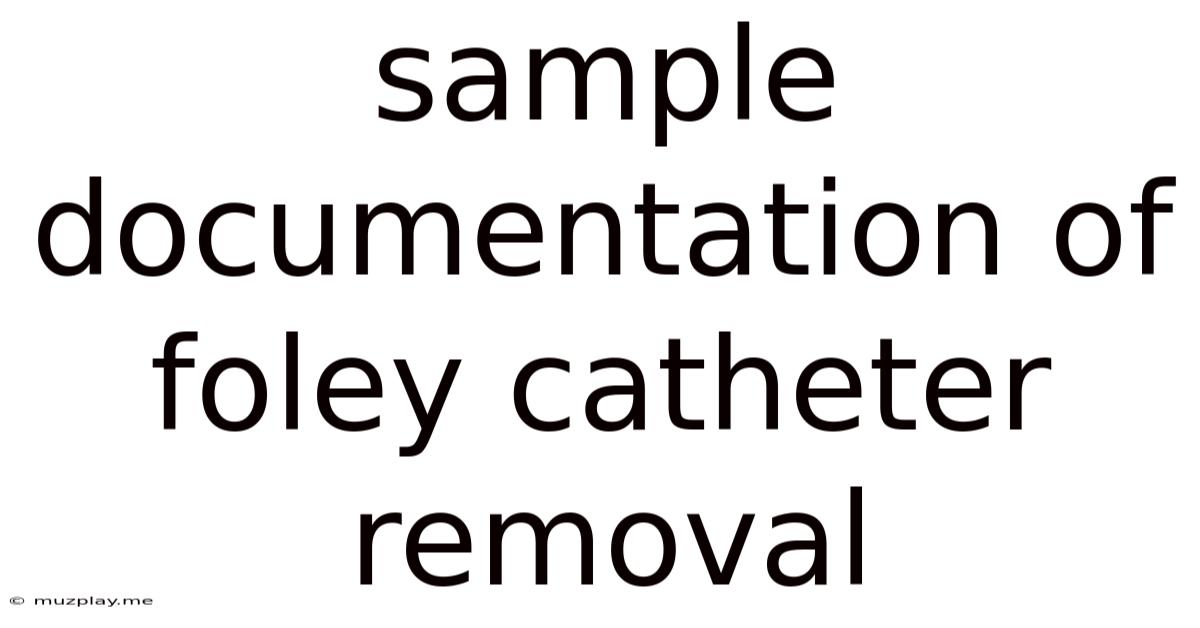 Sample Documentation Of Foley Catheter Removal
