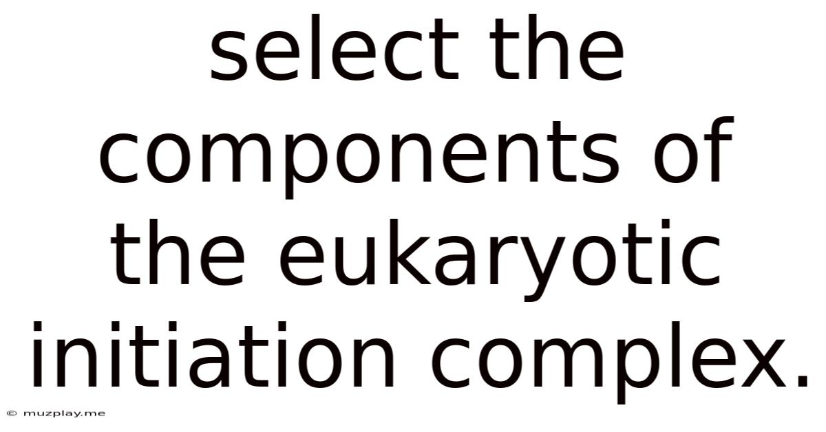 Select The Components Of The Eukaryotic Initiation Complex.