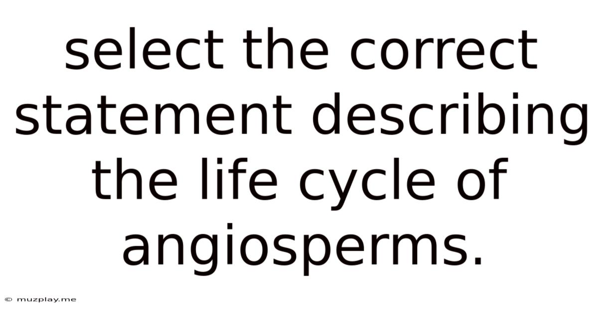 Select The Correct Statement Describing The Life Cycle Of Angiosperms.
