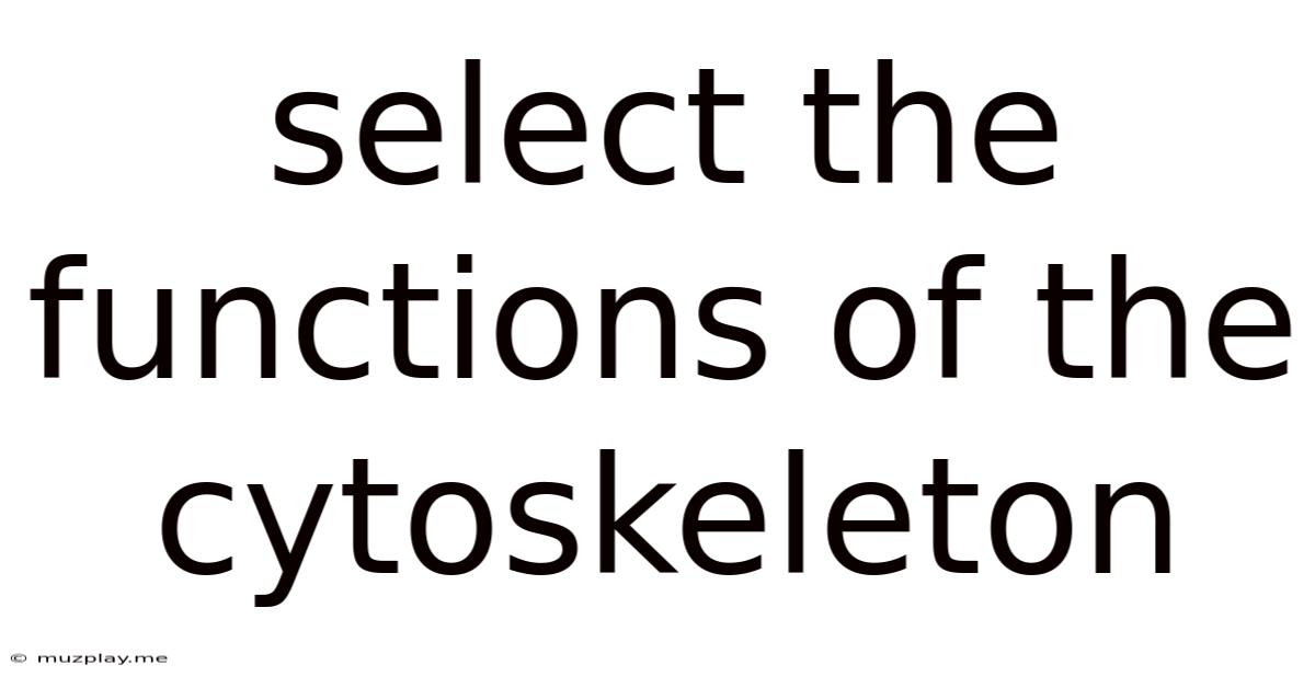 Select The Functions Of The Cytoskeleton