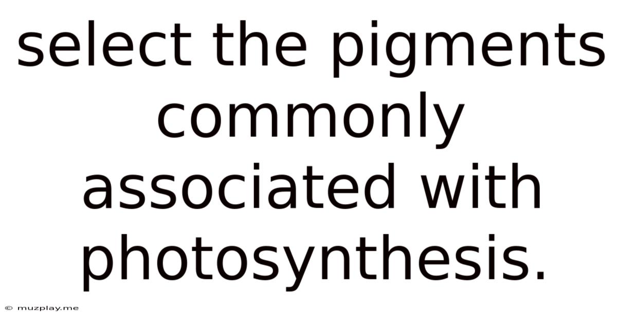 Select The Pigments Commonly Associated With Photosynthesis.