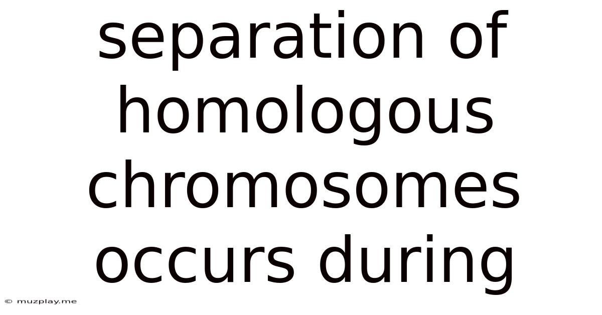 Separation Of Homologous Chromosomes Occurs During