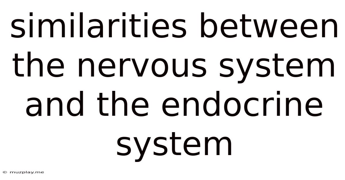 Similarities Between The Nervous System And The Endocrine System