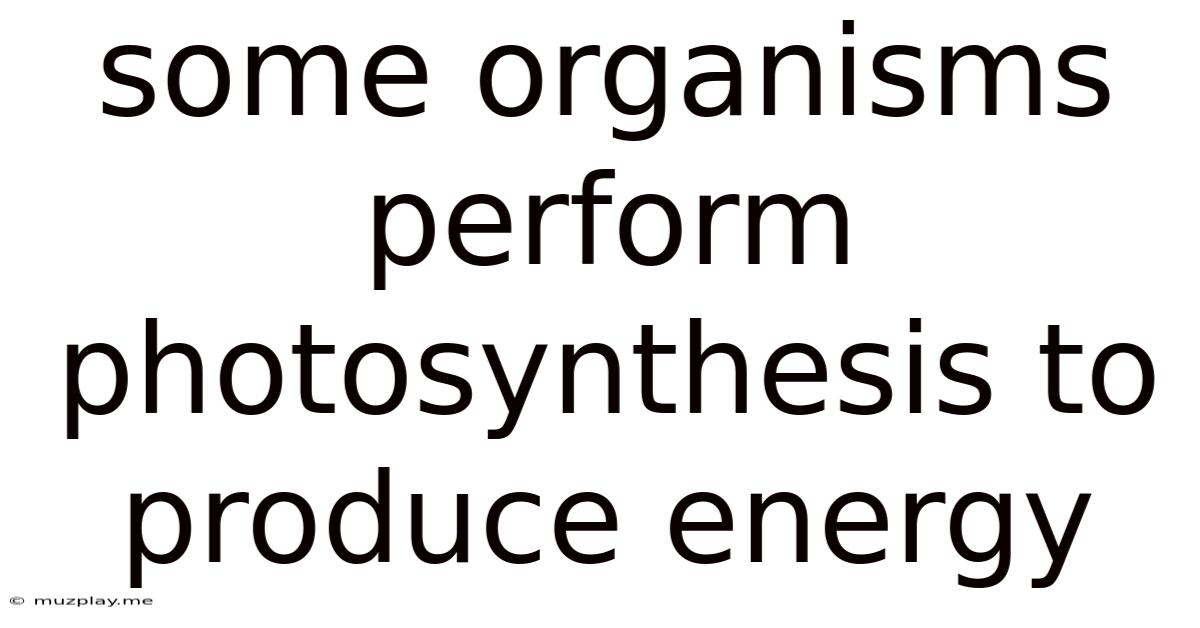 Some Organisms Perform Photosynthesis To Produce Energy