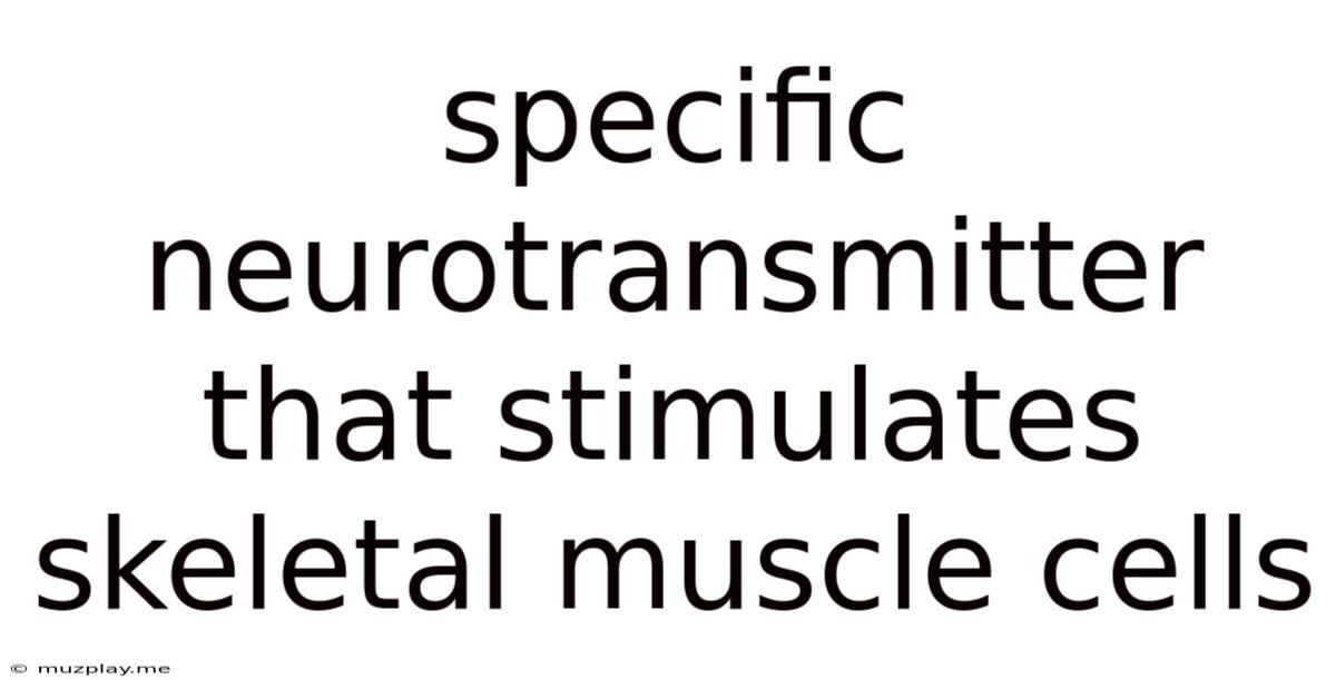 Specific Neurotransmitter That Stimulates Skeletal Muscle Cells