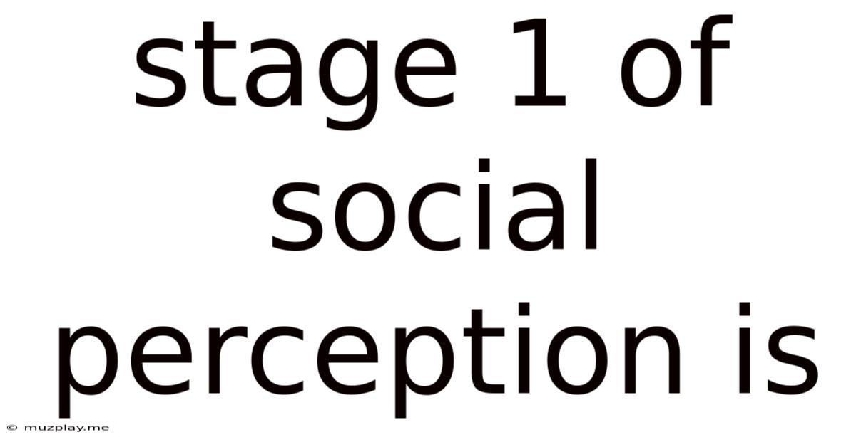 Stage 1 Of Social Perception Is