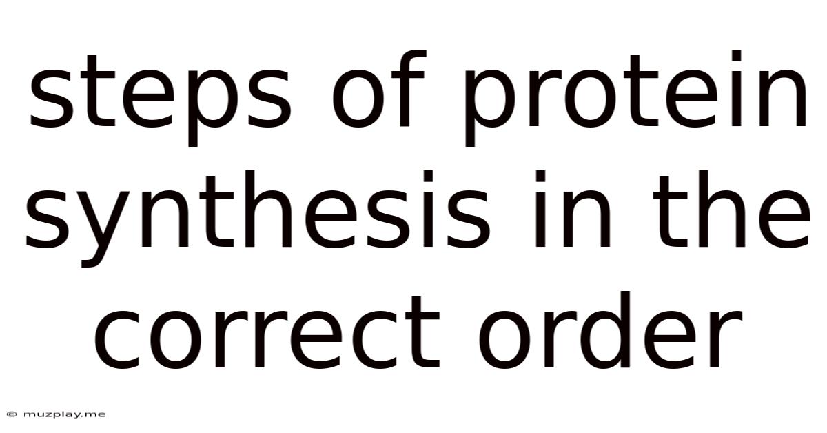 Steps Of Protein Synthesis In The Correct Order
