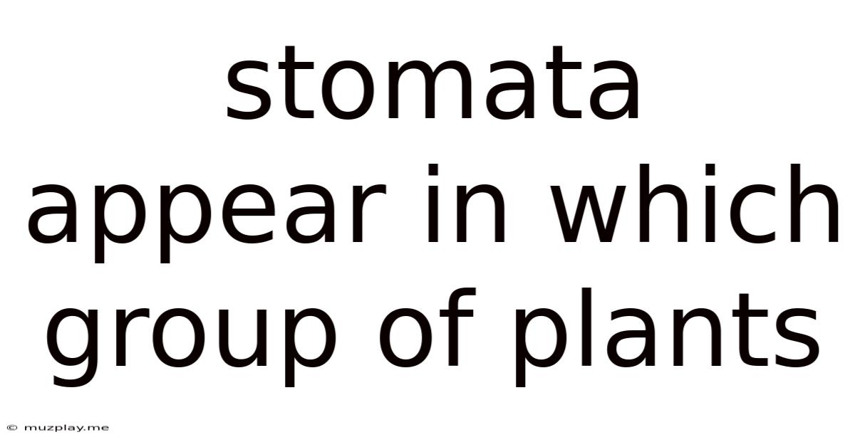 Stomata Appear In Which Group Of Plants