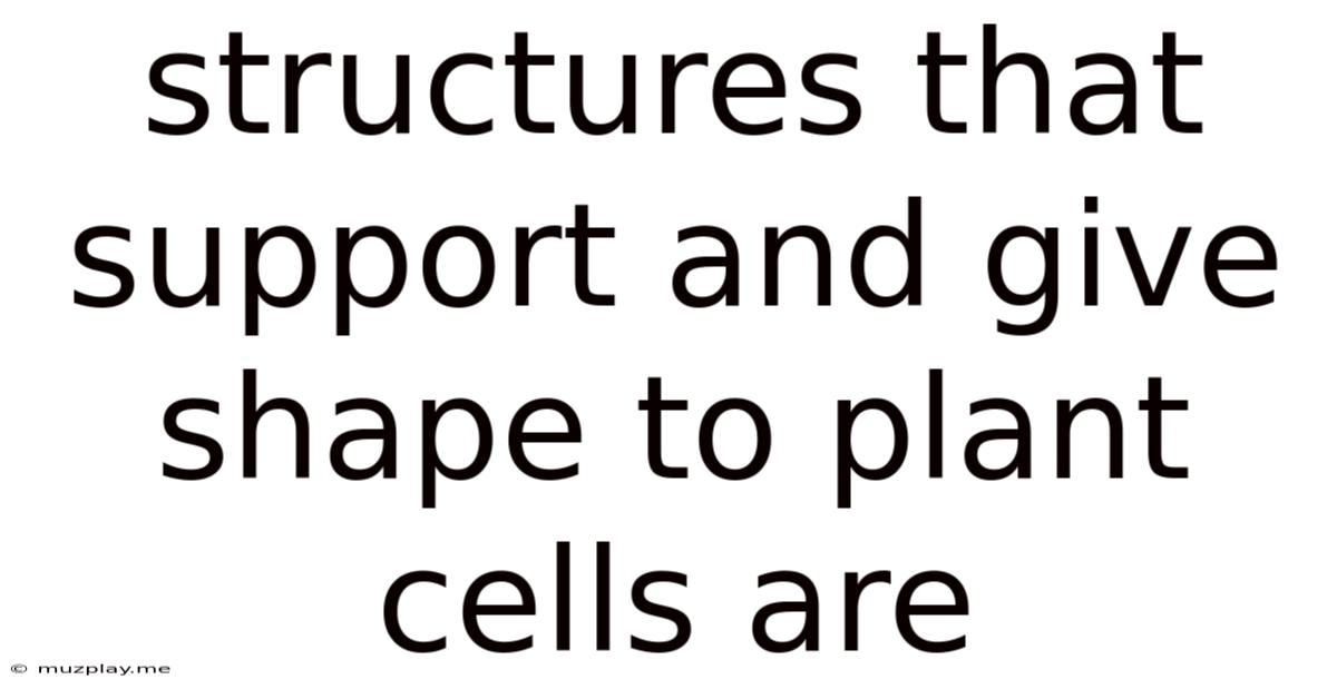 Structures That Support And Give Shape To Plant Cells Are