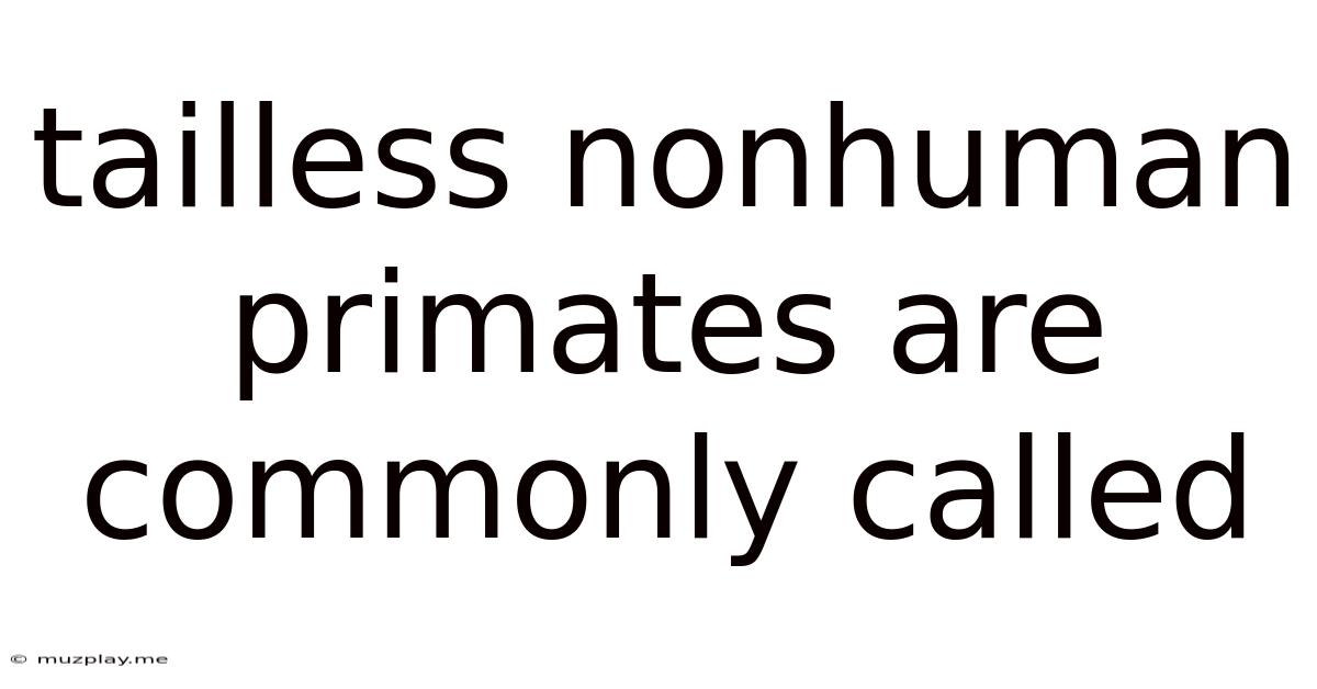 Tailless Nonhuman Primates Are Commonly Called