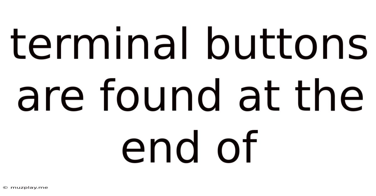 Terminal Buttons Are Found At The End Of