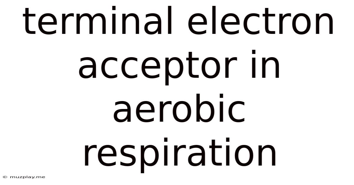 Terminal Electron Acceptor In Aerobic Respiration