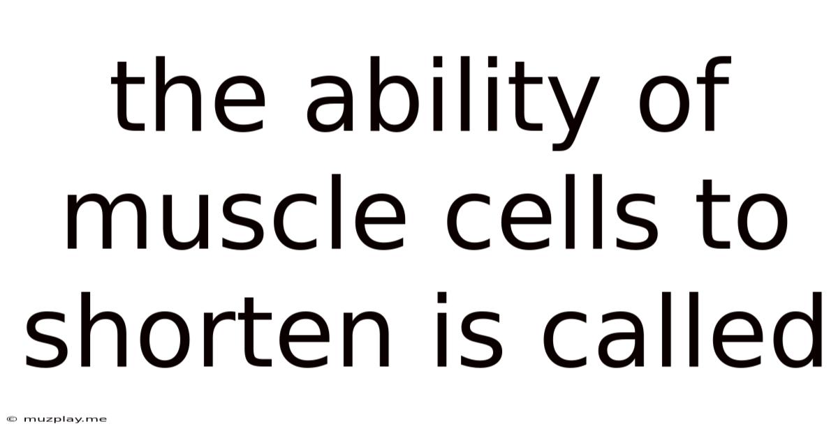 The Ability Of Muscle Cells To Shorten Is Called