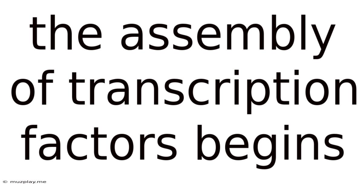 The Assembly Of Transcription Factors Begins
