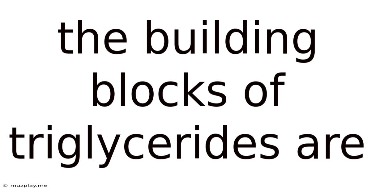 The Building Blocks Of Triglycerides Are