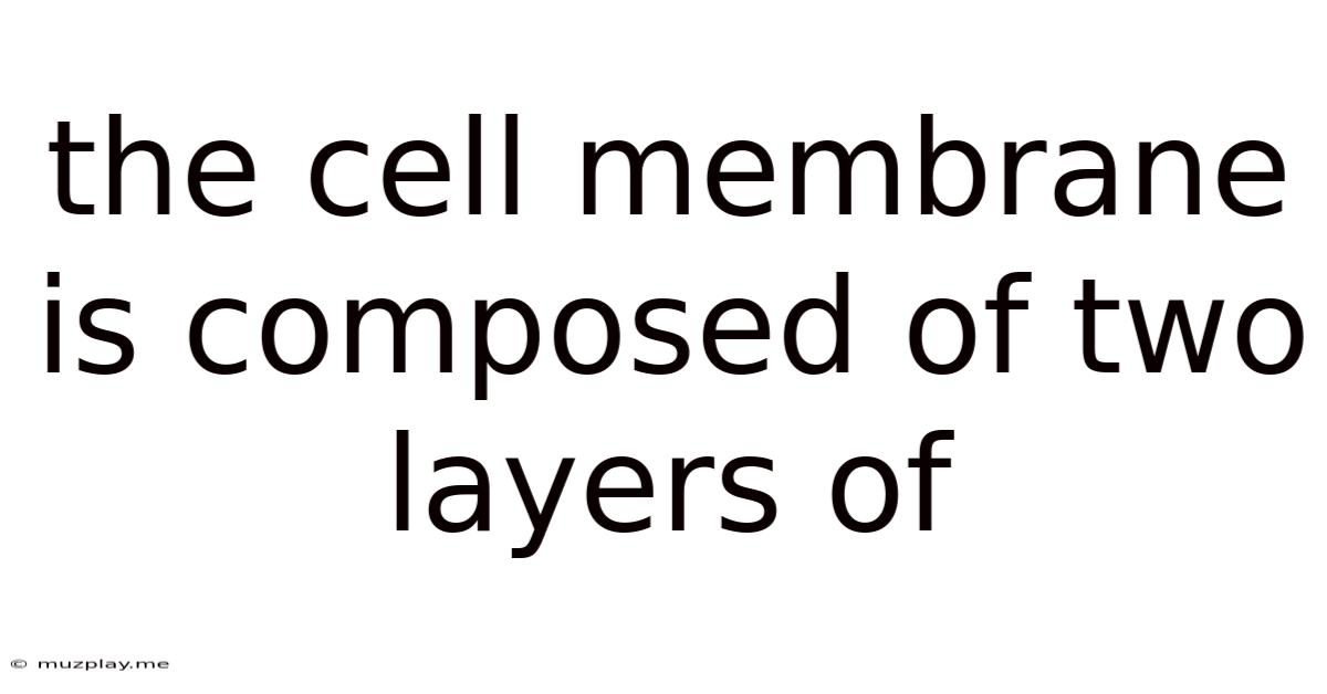 The Cell Membrane Is Composed Of Two Layers Of