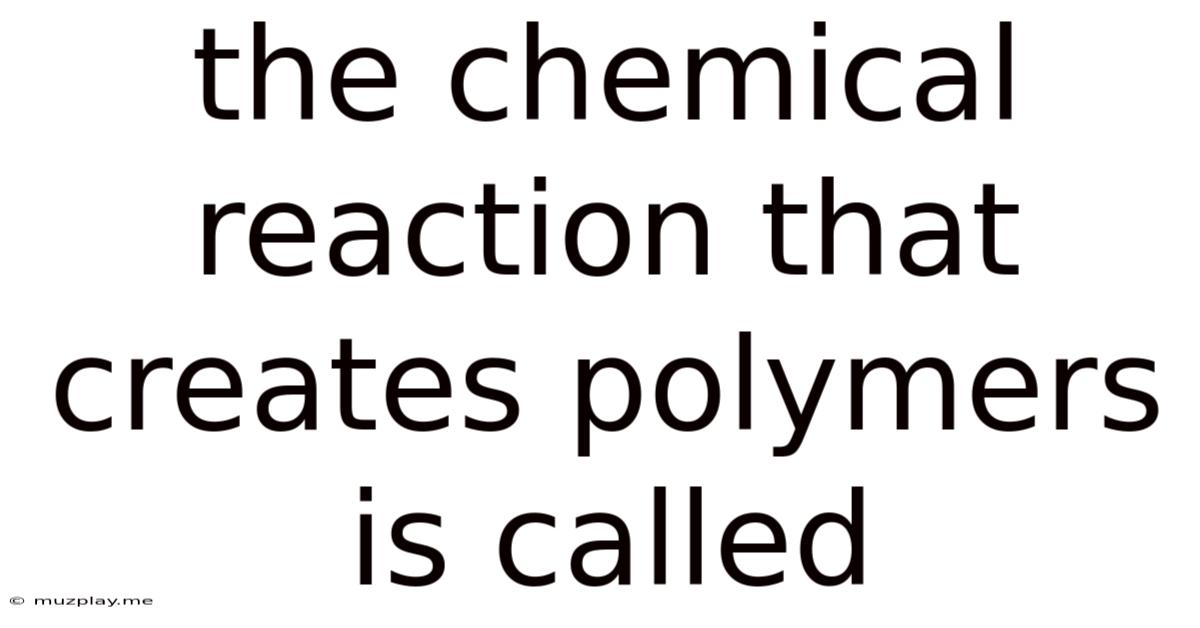 The Chemical Reaction That Creates Polymers Is Called