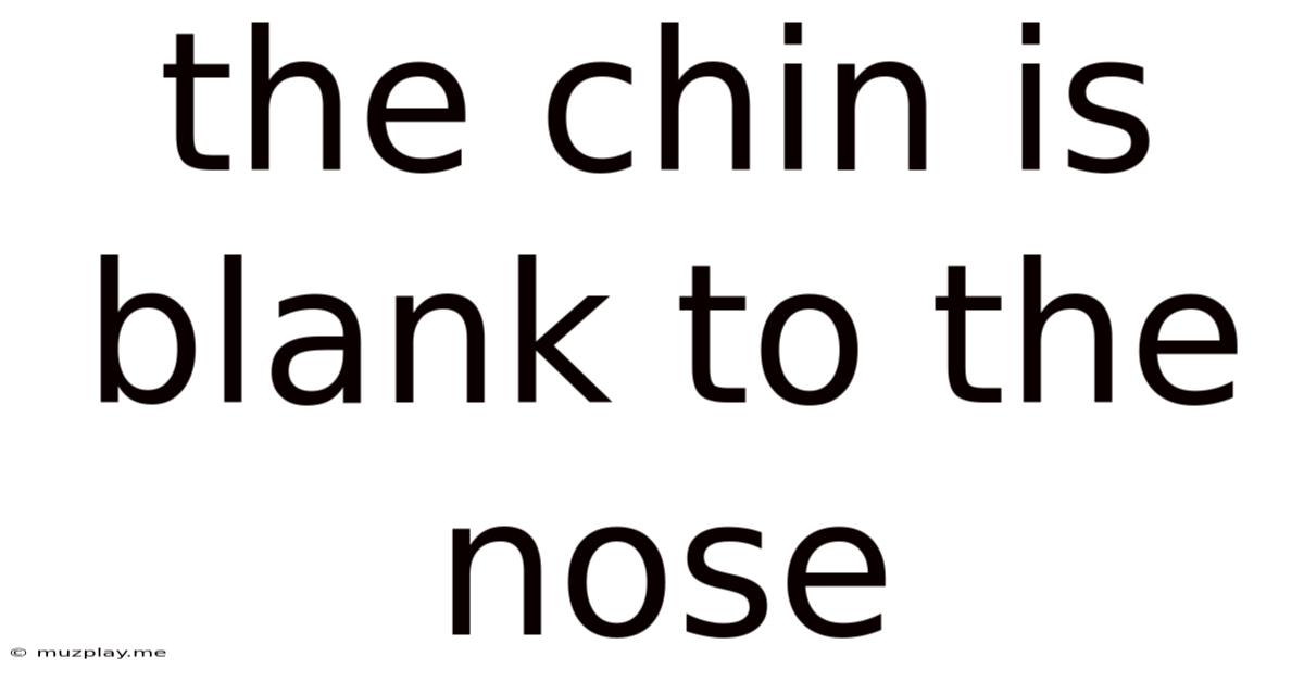 The Chin Is Blank To The Nose