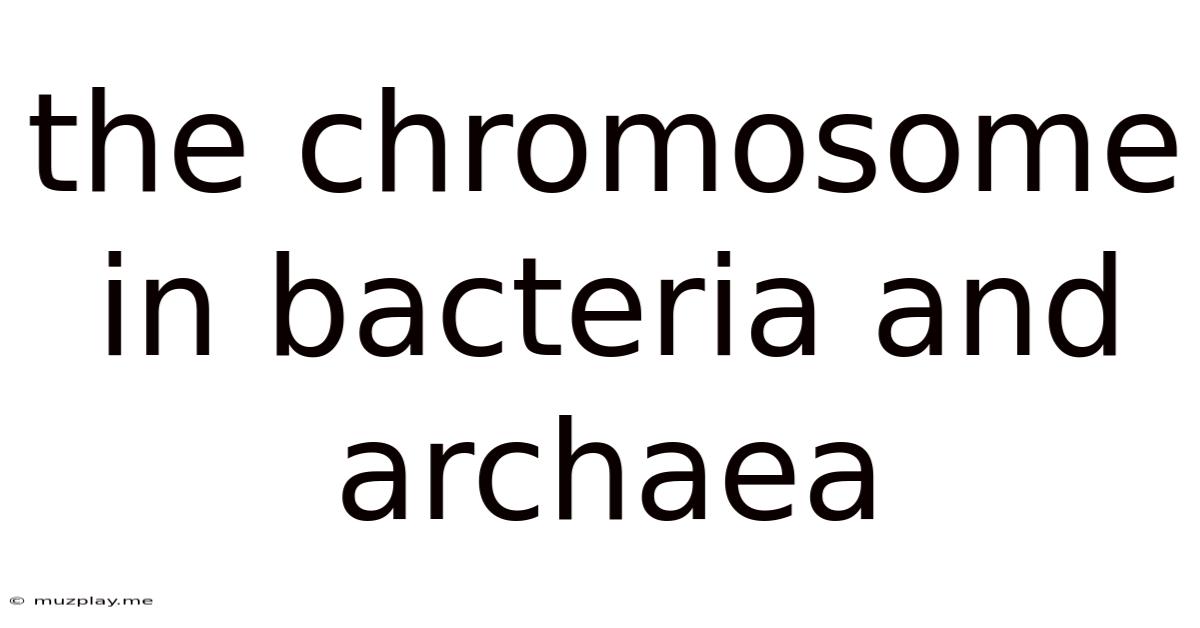 The Chromosome In Bacteria And Archaea