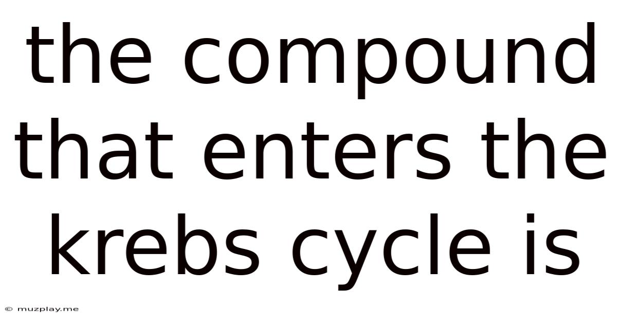 The Compound That Enters The Krebs Cycle Is