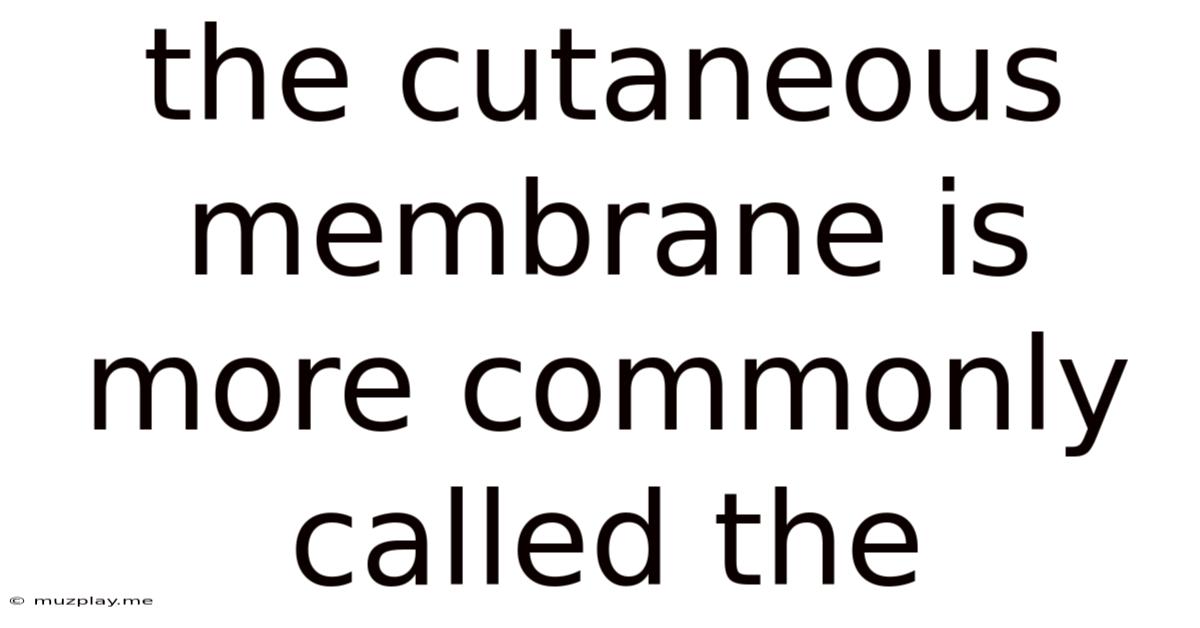 The Cutaneous Membrane Is More Commonly Called The
