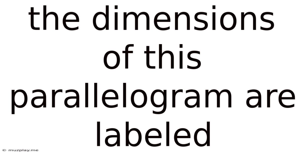 The Dimensions Of This Parallelogram Are Labeled
