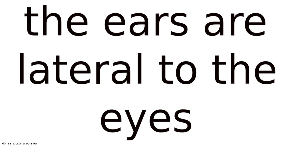The Ears Are Lateral To The Eyes