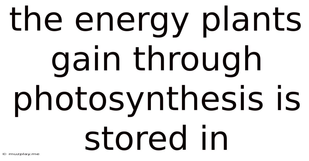 The Energy Plants Gain Through Photosynthesis Is Stored In