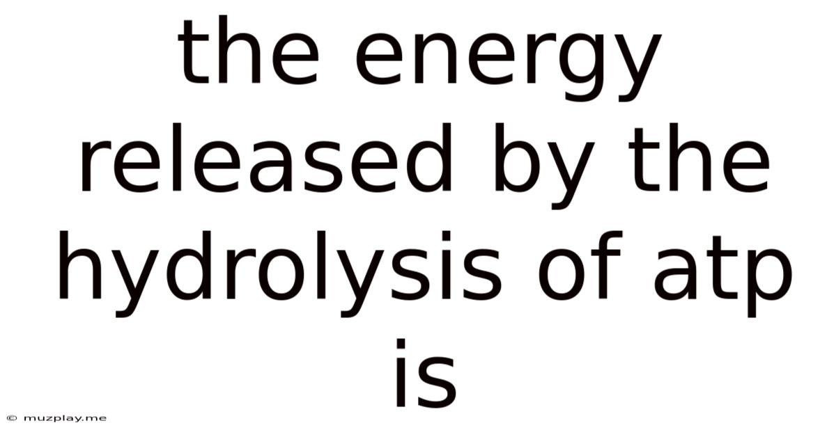 The Energy Released By The Hydrolysis Of Atp Is