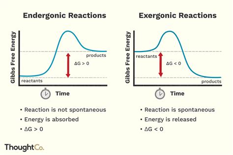 The Energy Required To Initiate An Exergonic Reaction Is Called