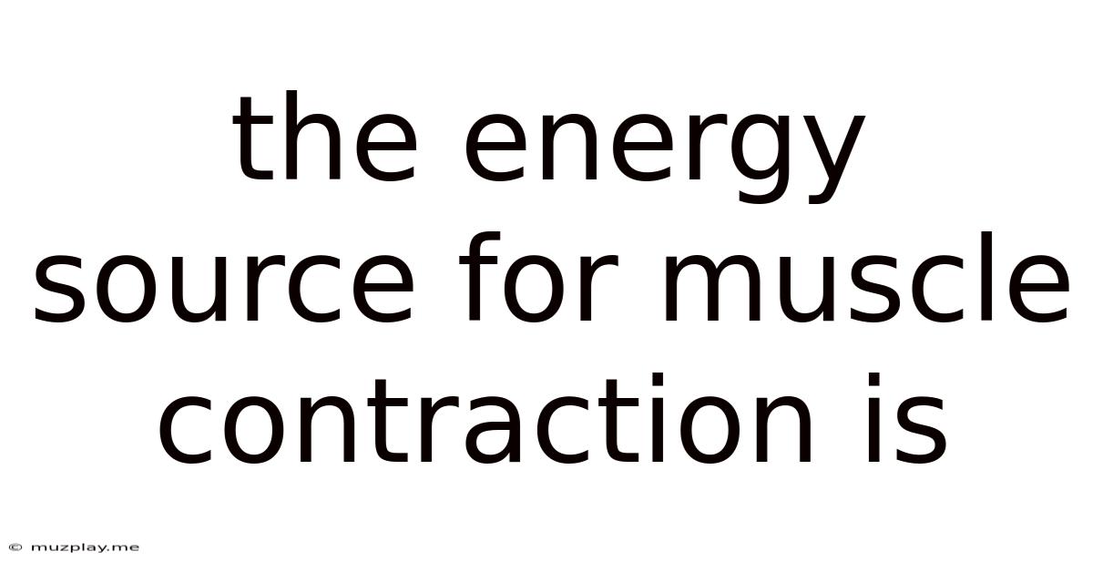 The Energy Source For Muscle Contraction Is