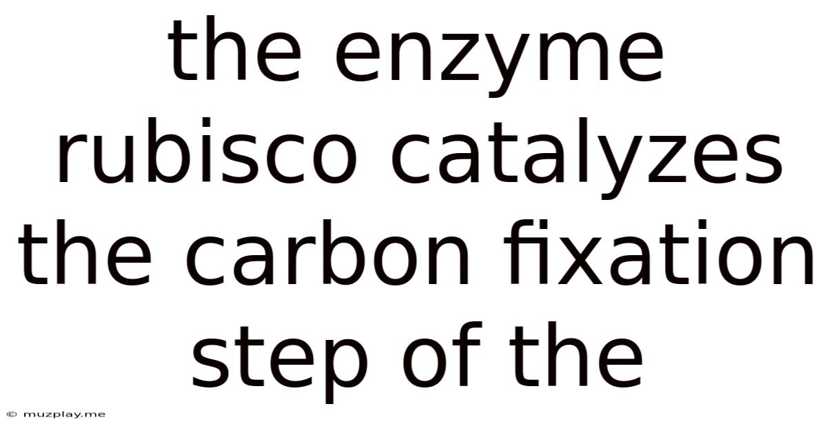 The Enzyme Rubisco Catalyzes The Carbon Fixation Step Of The